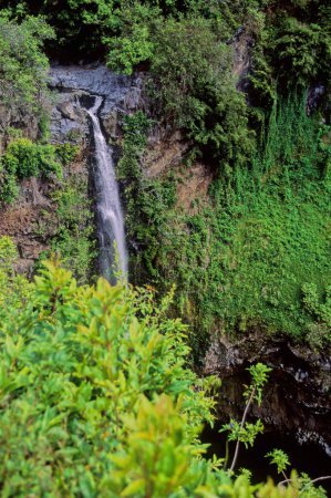ao Valley is a lush, stream-cut valley in West Maui, Hawaii, located 3.1 miles west of Wailuku. Because of its natural environment and history, it has become a tourist location.