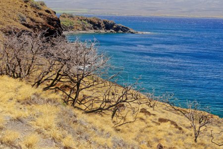 Fleming Beach est une plage publique dans la région nord-ouest de Maui, Hawaï entretenu et doté en personnel par le comté de Maui à D.T. Parc Fleming