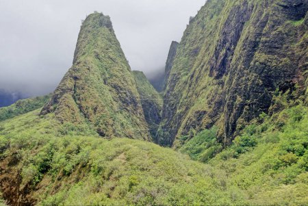 Photo for Ao Valley is a lush, stream-cut valley in West Maui, Hawaii, located 3.1 miles west of Wailuku. Because of its natural environment and history, it has become a tourist location. - Royalty Free Image