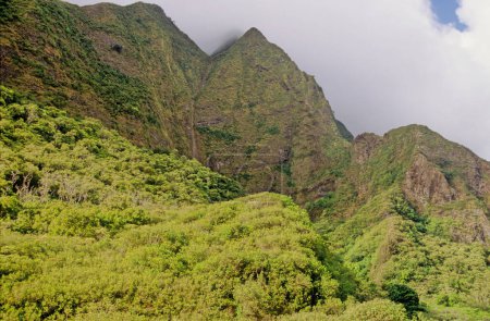 Photo for Ao Valley is a lush, stream-cut valley in West Maui, Hawaii, located 3.1 miles west of Wailuku. Because of its natural environment and history, it has become a tourist location. - Royalty Free Image