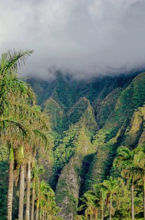 Foto de La cordillera de Koolau es un nombre dado al remanente fragmentado latente del volcán escudo oriental o de barlovento de la isla hawaiana. - Imagen libre de derechos