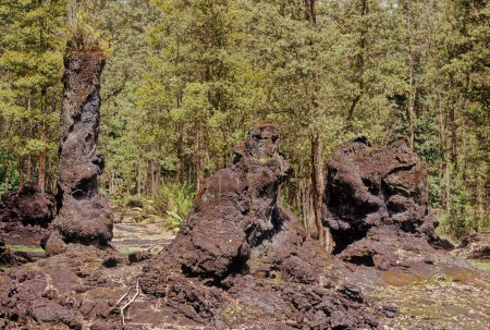 Lava Tree State Monument is a public park located 2.7 miles southeast of Phoa in the Puna District on the island of Hawaii