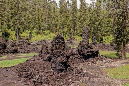 Photo for Lava Tree State Monument is a public park located 2.7 miles southeast of Phoa in the Puna District on the island of Hawaii - Royalty Free Image