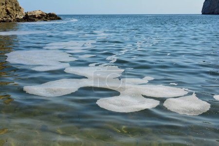 Téléchargez les photos : Polution de la mer, grandes taches de mucilage à la surface de l'eau, Mer Méditerranée - en image libre de droit