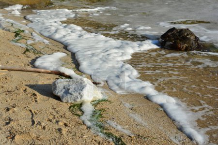 Foto de Contaminación del mar, gran cantidad de espuma marina en la orilla traída por las olas - Imagen libre de derechos