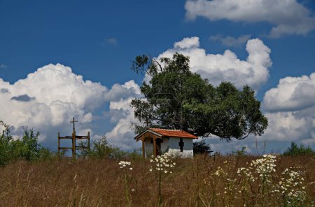 Téléchargez les photos : Beau paysage avec un bouleau vénérable et ancienne chapelle, situé dans la montagne Plana, Bulgarie - en image libre de droit