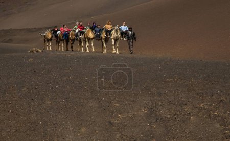 Foto de Lanzarote, España, 7 de marzo de 2016. Una caravana de camellos de paquetes con jinetes y un conductor va a un desierto por la tarde en buen tiempo soleado - Imagen libre de derechos