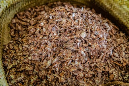 Téléchargez les photos : Croustilles de noix de bétel dans un bol également connu sous le nom de tranches de supari en Afrique, utilisé dans Paan masala - en image libre de droit
