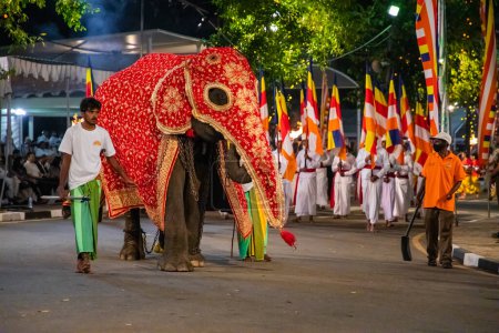 Photo for Colombo, Sri Lanka. 06 febfuary 2023. large carnival festive procession with elephants and dancers in bright national costumes through the streets of Colombo - Royalty Free Image