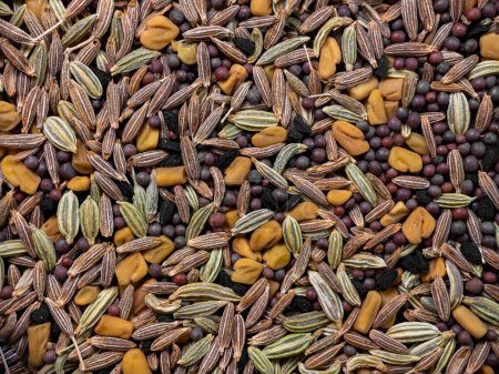Photo for Panch phoron (Indian Five Spice Blend) a spice blend Eastern India and Bangladesh and consists of the following seeds: Cumin, Brown Mustard, Fenugreek, Nigella and Fennel - Royalty Free Image