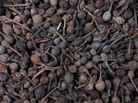 Photo for Bourbon pepper background. Voatsiperifery or bourbonese piper. Madagascar pepper. Top view close up - Royalty Free Image