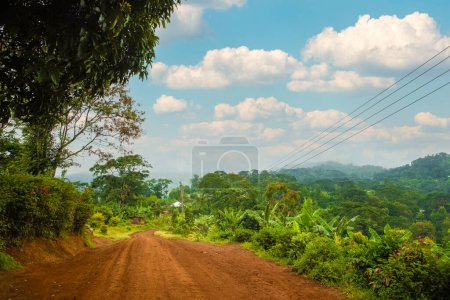 Un camino de tierra y grava que conduce a través de la selva tropical africana y la selva de África. Braun pueblo camino de tierra marrón