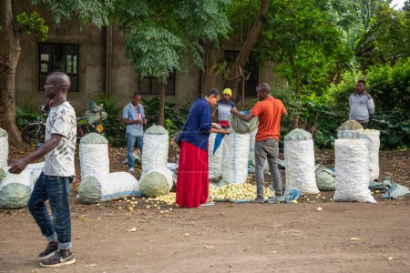 Foto de Arusha, Tanzania, África. 01 febrero 2022. Los lugareños de Arusha están a lo largo de la carretera vendiendo verduras de grandes bolsas blancas - Imagen libre de derechos