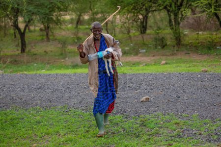 Téléchargez les photos : Arusha, Tanzanie, Afrique. 03. 02. 2022.vie dans un village africain. portrait complet d'un homme africain, berger de la tribu Masaï, avec une petite chèvre dans les bras - en image libre de droit