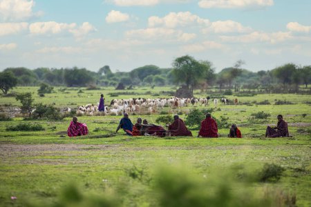 Téléchargez les photos : Arusha, Tanzanie, Afrique. 03 février 2022.vie dans un village africain. Concept de voyage africain. Les Masaï en tenue traditionnelle sont assis à l'extérieur. un grand troupeau paît à côté d'eux - en image libre de droit
