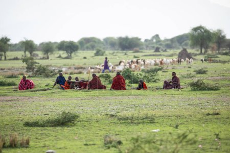 Téléchargez les photos : Arusha, Tanzanie, Afrique. 03 février 2022.vie dans un village africain. Concept de voyage africain. Les Masaï en tenue traditionnelle sont assis à l'extérieur. un grand troupeau paît à côté d'eux - en image libre de droit