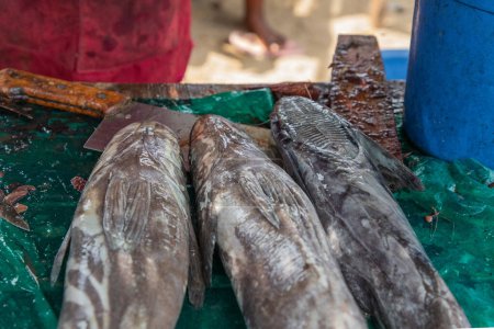 Toamasina, Madagaskar. 18. Oktober 2023. Frische Fischgerichte lokalen Markt. Frauen putzen und verkaufen frischen Fisch. Hände und Stücke Fisch im Fokus. Lokaler Geschmack.