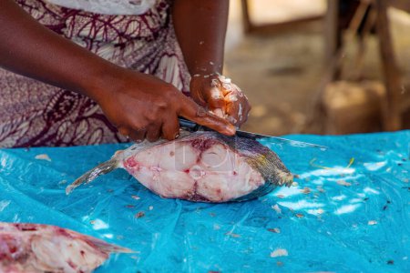 Fresh fish food local market. women clean and sell fresh fish. hands and pieces fish in focus. Local flavor.