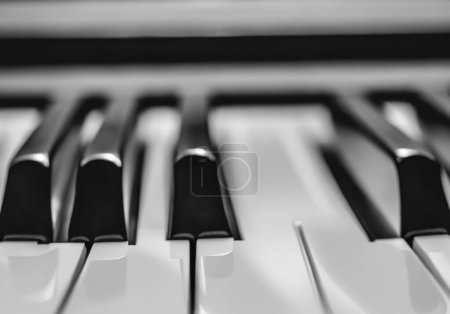 Close up black and white piano keys, blur backgroun