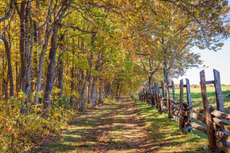 Foto de Colores de otoño en el asentamiento de Hensleey en Cumberland Gap National Historic Park. - Imagen libre de derechos
