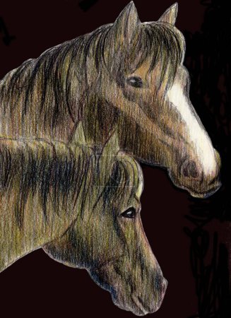 Foto de Ilustración a mano alzada sobre papel de dos cabezas de caballo sobre fondo negro - Imagen libre de derechos