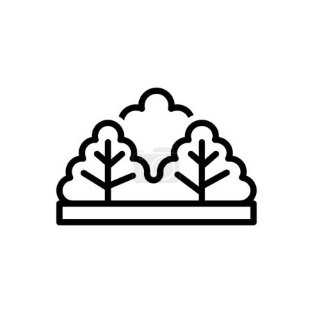 Illustration for Black line icon for bush - Royalty Free Image