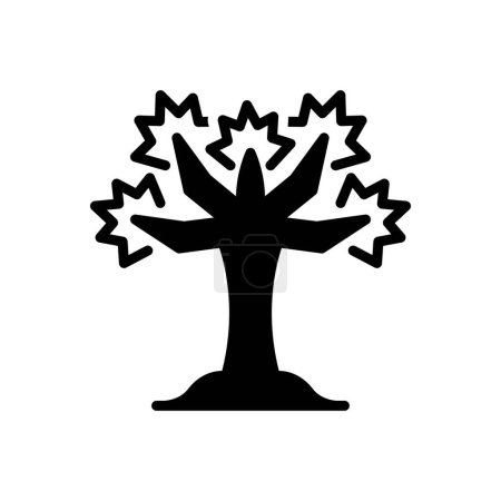 Schwarzes solides Symbol für Baum 