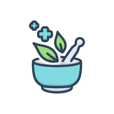 Color illustration icon for herbal medicine 