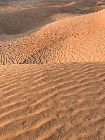 Téléchargez les photos : Désert de sable de Wahiba, Oman - en image libre de droit