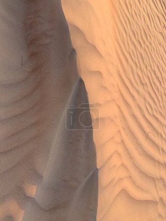 Téléchargez les photos : Désert de sable de Wahiba, Oman - en image libre de droit
