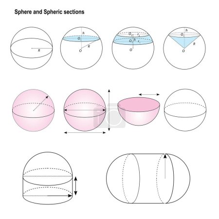 Ilustración de Conjunto vectorial de secciones Esfera y Esférica. Formas geométricas para la educación matemática. Formas básicas 3d. - Imagen libre de derechos