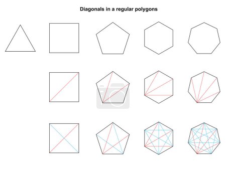 Diagonals in a regular polygons. Triangle, Quadrilateral, Pentagon, Hexagon, Heptagon. Geometric forms for math education.