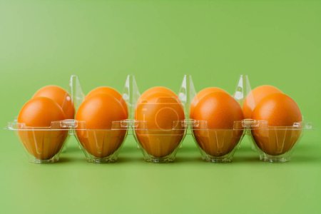 Photo for Orange chicken eggs, animal eggs, high protein food, breakfast, egg photography in studio - Royalty Free Image