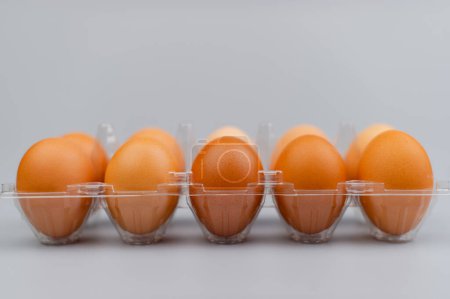 Photo for Orange chicken eggs, animal eggs, high protein food, breakfast, egg photography in studio - Royalty Free Image