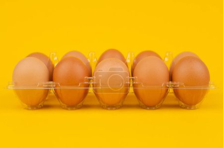 Photo for Fresh chicken eggs in a brown eggshell egg stand on a yellow background, studio shot - Royalty Free Image