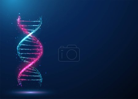 Abstraktes blaues und lila 3D DNA Molekül Helix. Gene-Editing-Konzept für die Gentechnologie. Design im Low Poly-Stil. Geometrischer Hintergrund Wireframe Licht Grafik Verbindungsstruktur Vektor