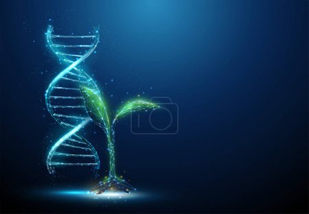 Grüne Pflanze keimt mit blauem DNA-Molekül Helix. Gentechnisch verändertes Produkt. Gene-Editing-Konzept für die Gentechnologie. Low Poly Stil. Abstrakte Drahtstruktur-Lichtstruktur. Vektor