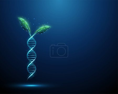 Grüne Pflanzenblätter, die aus dem blauen 3D DNA Molekül Helix wachsen. Gentechnisch verändertes Produkt. Gene Editing, gentechnisches Biotechnologiekonzept. Low Poly Stil. Abstrakte Drahtstruktur. Vektor.