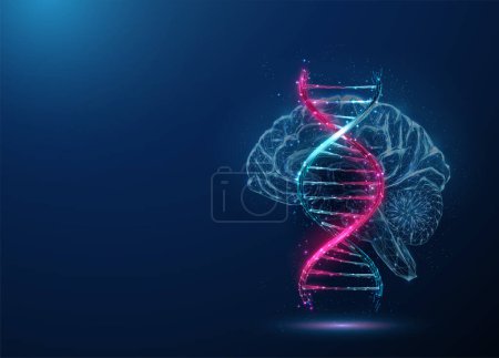 Resumen azul y púrpura ADN molécula hélice y cerebro. Concepto de ingeniería biotecnológica genética. Diseño de bajo estilo polivinílico. Fondo geométrico. Estructura de conexión gráfica de luz Wireframe. Vector