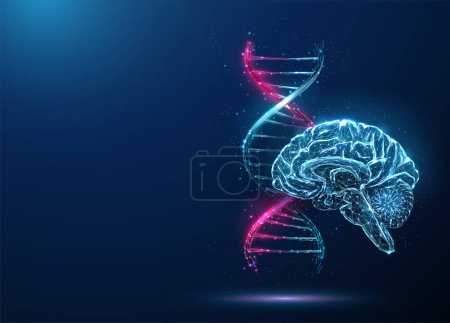 Resumen azul y púrpura ADN molécula hélice y cerebro. Concepto de ingeniería biotecnológica genética. Diseño de bajo estilo polivinílico. Fondo geométrico. Estructura de conexión gráfica de luz Wireframe. Vector