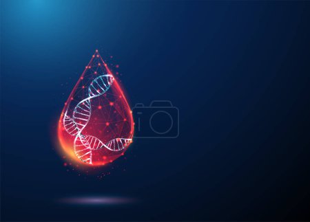 Abstrakte DNA-Molekül-Helix im roten Bluttropfen. Gentest, Analyse, wissenschaftliches Forschungskonzept. Design im Low Poly-Stil. Geometrischer Hintergrund. Wireframe Licht Grafische Verbindungsstruktur Vektor