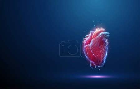 Corazón humano rojo abstracto. Anatomía cardíaca. Concepto médico de salud. Diseño de bajo estilo polivinílico. Fondo geométrico. Estructura de conexión de luz Wireframe. Moderno concepto gráfico 3d. Vector
