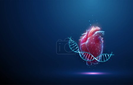 Blue DNA molecule helix with red human heart. Hereditary heart diseases, diagnosis of genetic diseases concept. Gene editing, biotechnology engineering. Wireframe light structure Vector
