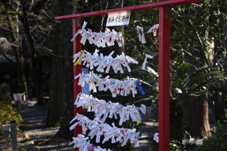 Téléchargez les photos : Playing 'Omikuji' at a Japanese shrine. Omikuji is a written fortune-telling about the person's near future on a slip of paper. - en image libre de droit