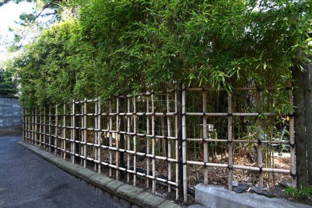 A traditional Japanese hedge made of bamboo. Residential background material.