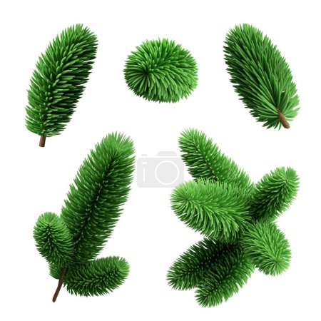 3D-Render, Sammlung von Weihnachtsbaumzweigen, eine Reihe festlicher natürlicher Clip-Art auf weißem Hintergrund, grüne Nadelzweige.