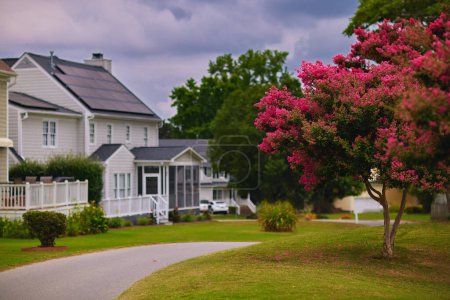 Photo for Spring neighborhood with blooming crape myrtle tree on the lawn - Royalty Free Image