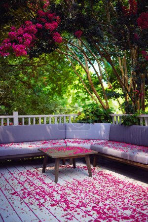 Téléchargez les photos : Salon sous un arbre fleuri dans le jardin d'été. terrasse couverte de pétales tombés de colza myrte - en image libre de droit