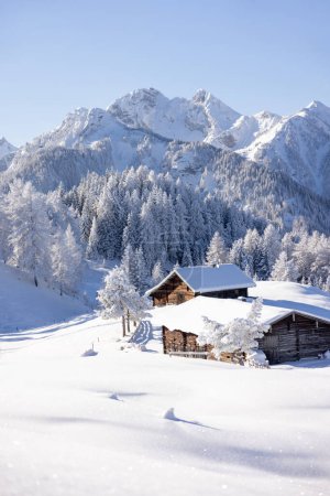 Winter in mountains. An amazing winter scenery with a lot of snow. High quality photo