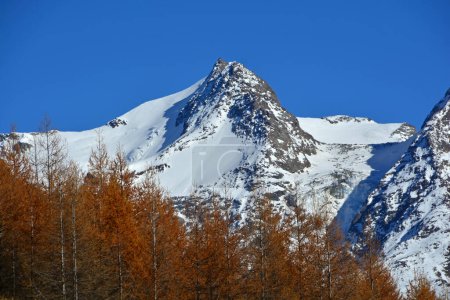 Téléchargez les photos : Coucher de soleil sur le Cervin dans les Alpes Suisses du Sud au-dessus de Saas Fee. À l'automne avec des mélèzes au premier plan - en image libre de droit